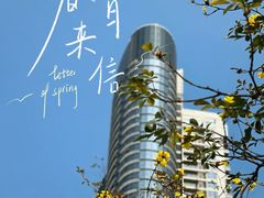 -洲头咀公园