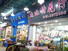 -溪岸路花鸟市场