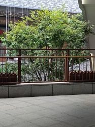 点击看大图 -世田造型