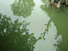 -龙潭水乡