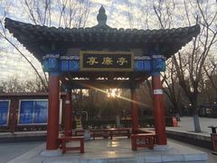 -莲花池公园