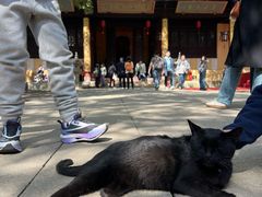 -无锡梅园公园