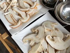 -蘑统田下·野生菌火锅