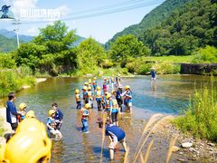 -夏山营地教育