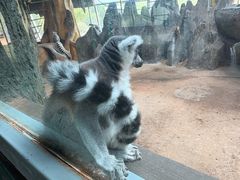 -鄂尔多斯野生动物园