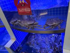 -七欣天香辣蟹火锅(淮安璟和名城店)