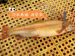 -京北渔家傲
