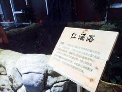 -盛彼得温泉度假酒店
