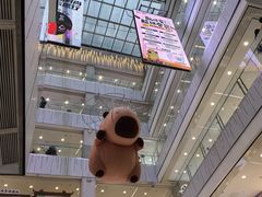 -凯德MALL(西直门店)
