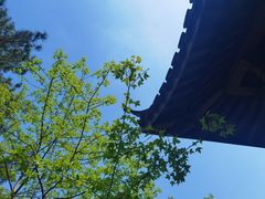 -杭州植物园