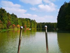 -上海海湾国家森林公园