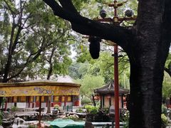 -白家大院·王府宫廷菜(苏州街店)