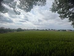 -长兴对江渡客运站