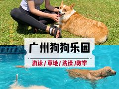 -良成狗狗乐园