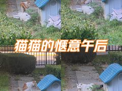 -大望路(地铁站)