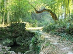 -会稽山峡洞漂流-上青古道