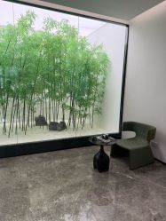 -韩辰医疗美容医院