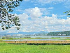 -洱海月湿地公园