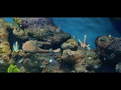 -临沂极地海洋王国