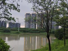 -广东花都湖国家湿地公园