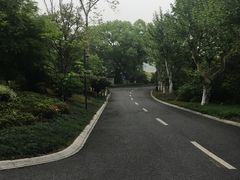 -东航云逸酒店(九溪烟树店)