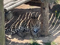 -西霞口神雕山野生动物世界