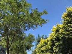 -森林公园(尖草坪区)