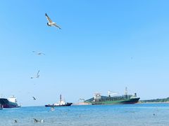 -海驴岛(荣成市)
