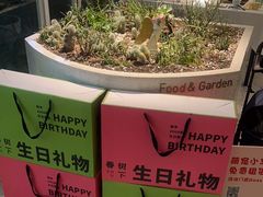 -春树下·树屋花房西餐厅(罍街AS1980店)