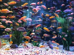 -正佳极地海洋世界
