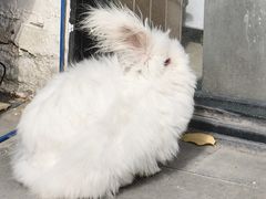 -小意思咖啡店(草桥店)