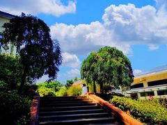 -上海市保健医疗中心