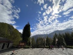 -卧龙中华大熊猫苑神树坪基地