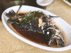 清蒸海鱼-鹏城人家海鲜酒家·23年老字号(较场尾店)