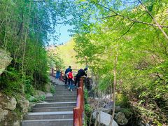 -王顺山国家森林公园