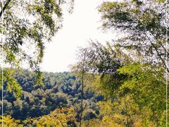 -宁波浙东大竹海景区