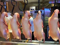 -宏宴·新京菜(望京店)