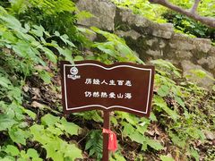 -终南山南五台景区