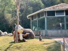 -泉州海丝野生动物世界