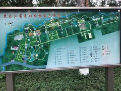 -黑龙江省森林植物园