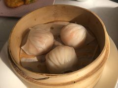 -喜粤8号(四海唐人街店)