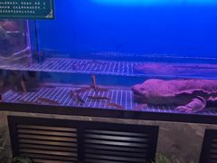 -九尊食上(生态园林酒店)