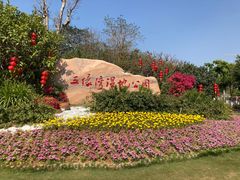 -五缘湾湿地公园