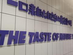 -一只酸奶牛(奎星楼店)