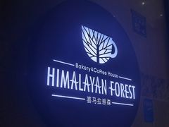 -喜马拉雅森HIMALAYAN FOREST