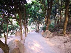 -梅峰山地公园