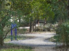 -潜山国家森林公园