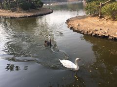 -清迈夜间动物园