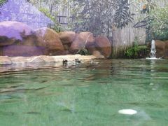 android_upload_pic-河川生态园