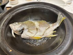 -半岛宴·湛江精品菜(蛇口广场店)